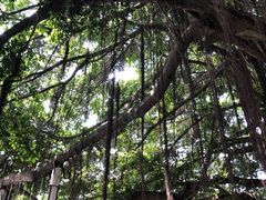 -北部湾广场