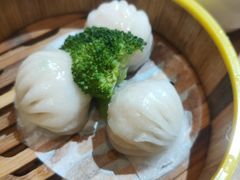 虾饺皇-胜记凯心茶餐厅(汇金财富广场店)