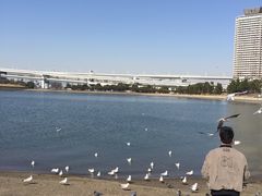 -台场海滨公园船码头