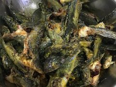 -金海椒罐罐鲢鱼(东方桂苑店)