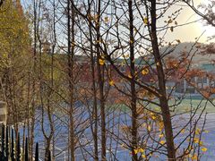 -大连市第二十四中学