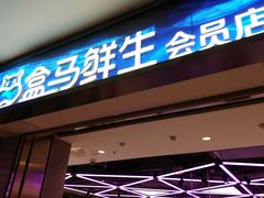 -盒马鲜生(莱蒙都会店)
