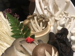 -洪氏嗨捞·猪肚鸡火锅(阳光天地店)