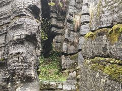 -梭布垭石林景区