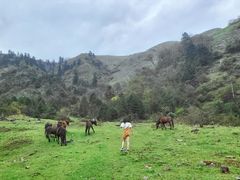-硗碛藏寨·神木垒景区