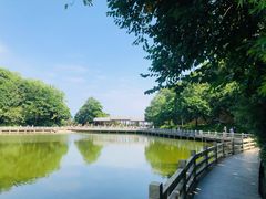 -广州市帽峰山景区