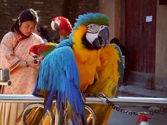 -终南山国家森林公园