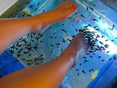 -汤连得温泉馆(宝山店)