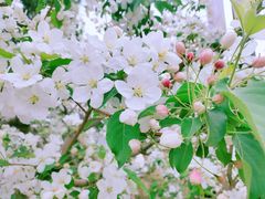 -元大都城垣遗址公园