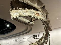 -自贡恐龙博物馆