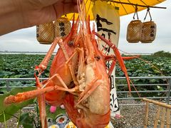 -七的湖·晚芳亭·阳澄湖农家菜·大闸蟹(莲花岛店)