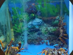 -辉哥火锅(虹桥路店)