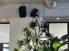 -Wagas沃歌斯(枫蓝国际店)