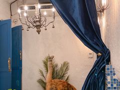 -Sirena海妖日咖夜酒