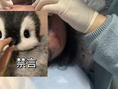 -复旦大学附属华山医院(总院)