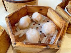 虾饺-君豪大酒店-东海渔村中餐厅