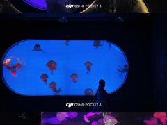 -合肥海洋世界