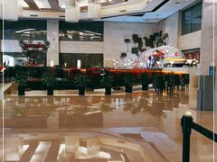-北京首都机场希尔顿酒店