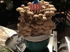 -捞王锅物料理(凯旋路店)