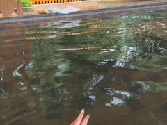 -碧水湾温泉