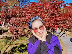 -广州市帽峰山景区