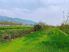 -秦岭风景区
