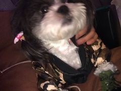 -皇家美孚(麦岛店)