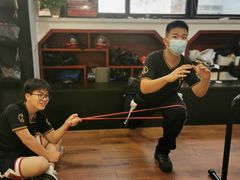 -温鉴良实用咏春拳