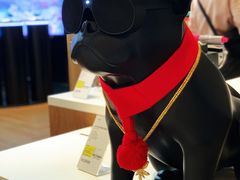 -sundanpulse顺电·脉(海岸城购物中心店)