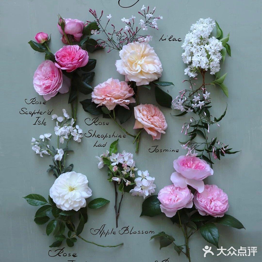 岁月如花，笑看花开，静赏花落是人生的一种极致