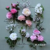 岁月如花，笑看花开，静赏花落是人生的一种极致