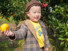 -前小桔亲子创意农场·草莓采摘·露营烧烤