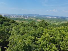 -南京市无想山景区