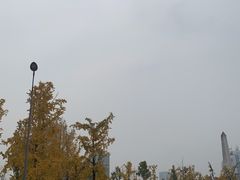 -百林公园-两江幸福广场