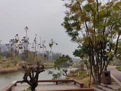 -桂溪生态公园