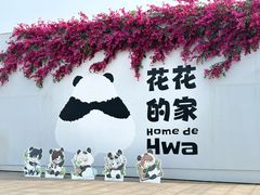 -成都大熊猫繁育研究基地