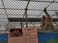 -西安秦岭野生动物园