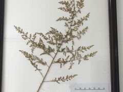 -中医院-的食堂