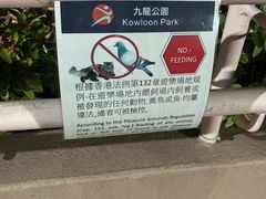 -九龙公园