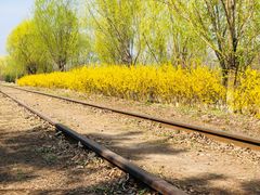 -永定河休闲森林公园