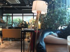 -咖法森林·咖啡  酒吧(天河店)