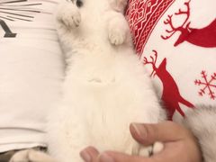 -深圳野生动物园宠物医院(西湖林语店)