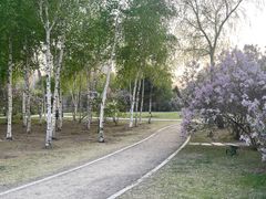-群力丁香公园