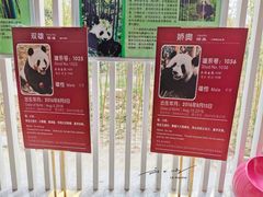 -五龙山野生动物王国