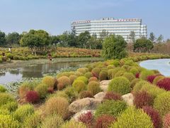 -春花秋色城市公园