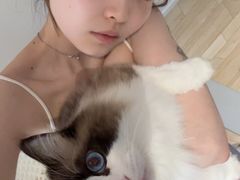 -上海大学附属上海和平眼科医院