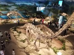 -自贡恐龙博物馆