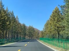 -塞罕坝国家级自然保护区