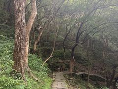 -严子陵钓台(富春江小三峡)