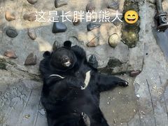 -攀枝花公园